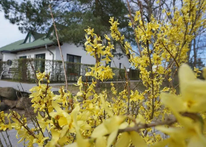 Jbs Golm 호스텔 *